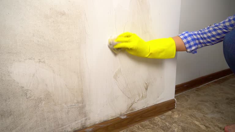 Asbestos and Lead Testing During Mold Inspection in Dobson, NC
