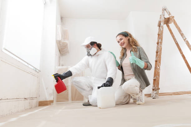 Professional Mold Removal in Dobson, NC